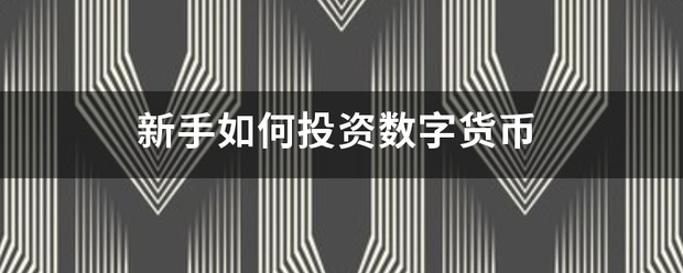 新手来自如何投资数字货币