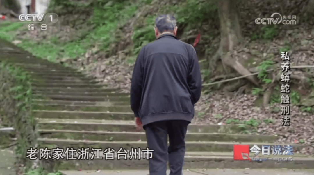 浙江男子在家里养300多条蟒蛇，涉案3000万，抓蛇现场，民警直呼毛骨悚然；男子：太痴迷了，感觉自己在造物