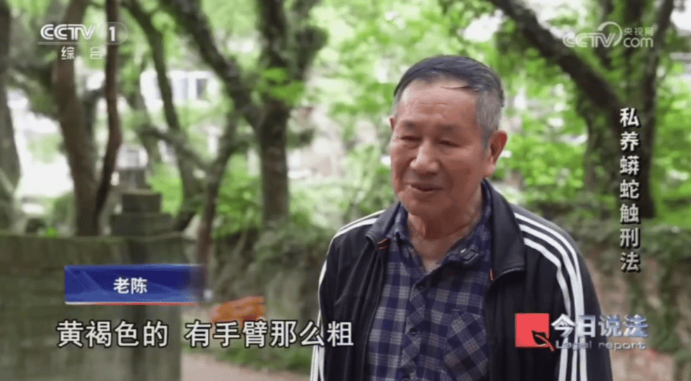 浙江男子在家里养300多条蟒蛇，涉案3000万，抓蛇现场，民警直呼毛骨悚然；男子：太痴迷了，感觉自己在造物