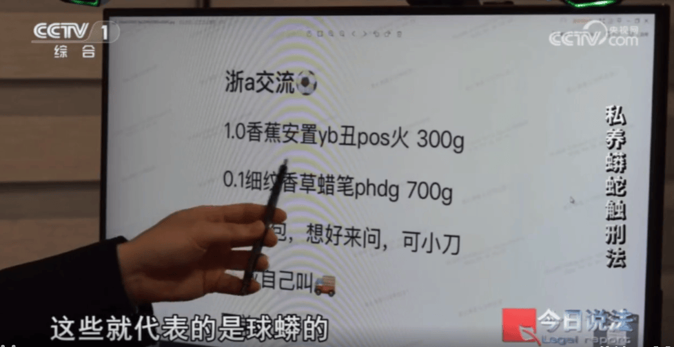 浙江男子在家里养300多条蟒蛇，涉案3000万，抓蛇现场，民警直呼毛骨悚然；男子：太痴迷了，感觉自己在造物