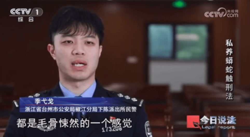 浙江男子在家里养300多条蟒蛇，涉案3000万，抓蛇现场，民警直呼毛骨悚然；男子：太痴迷了，感觉自己在造物