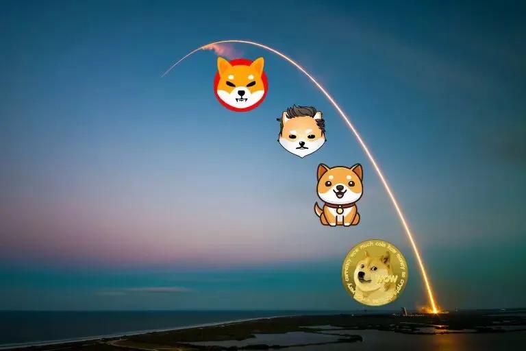 shib币狗绳怎么玩的简单介绍