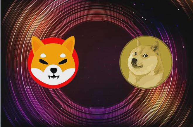 shib能超越狗狗币吗(shib币会超越狗狗币吗)