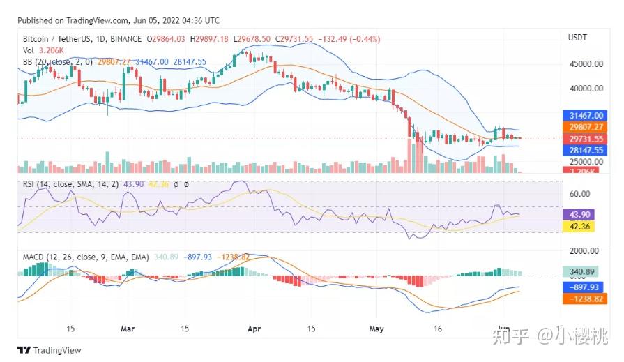 shib币最新价格今日行情(shib币价格今日行情金色财经)