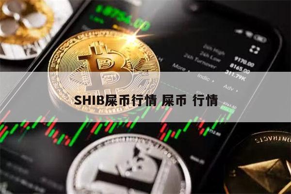 shib币三年(shib币两年能多少钱)