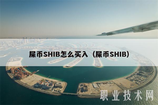 shib币什么(shib实时行情)