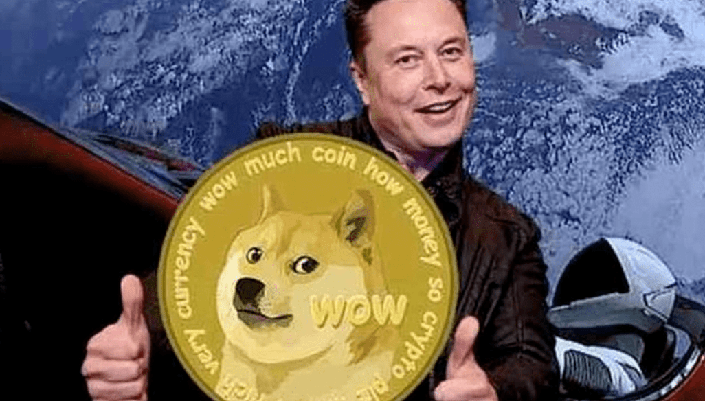 shib币和doge币(shib币和狗狗币的关系)