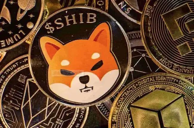 shib币公司创始人(shib币最早在哪个平台上线)