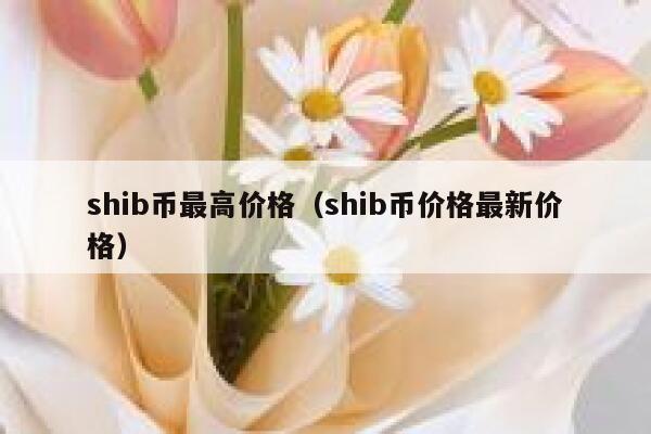 shib币讲解(shib币到底有没有前景)