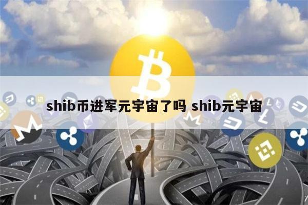 手机挖shib币(手机挖币软件的骗局)