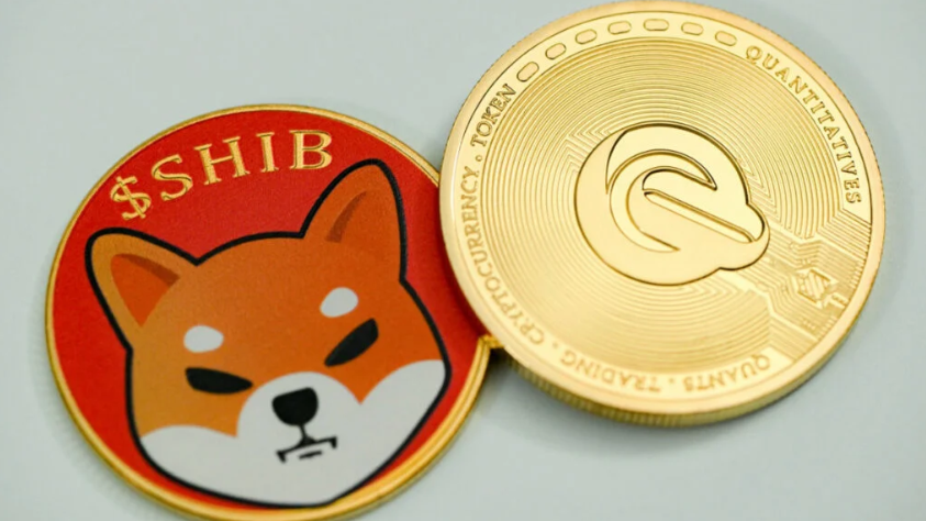 shib币最新(shib币最新消息超话)