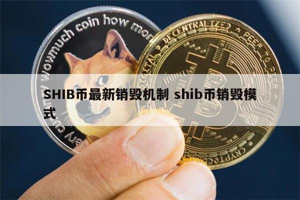 shib币官方网(shib币实时价格行情)