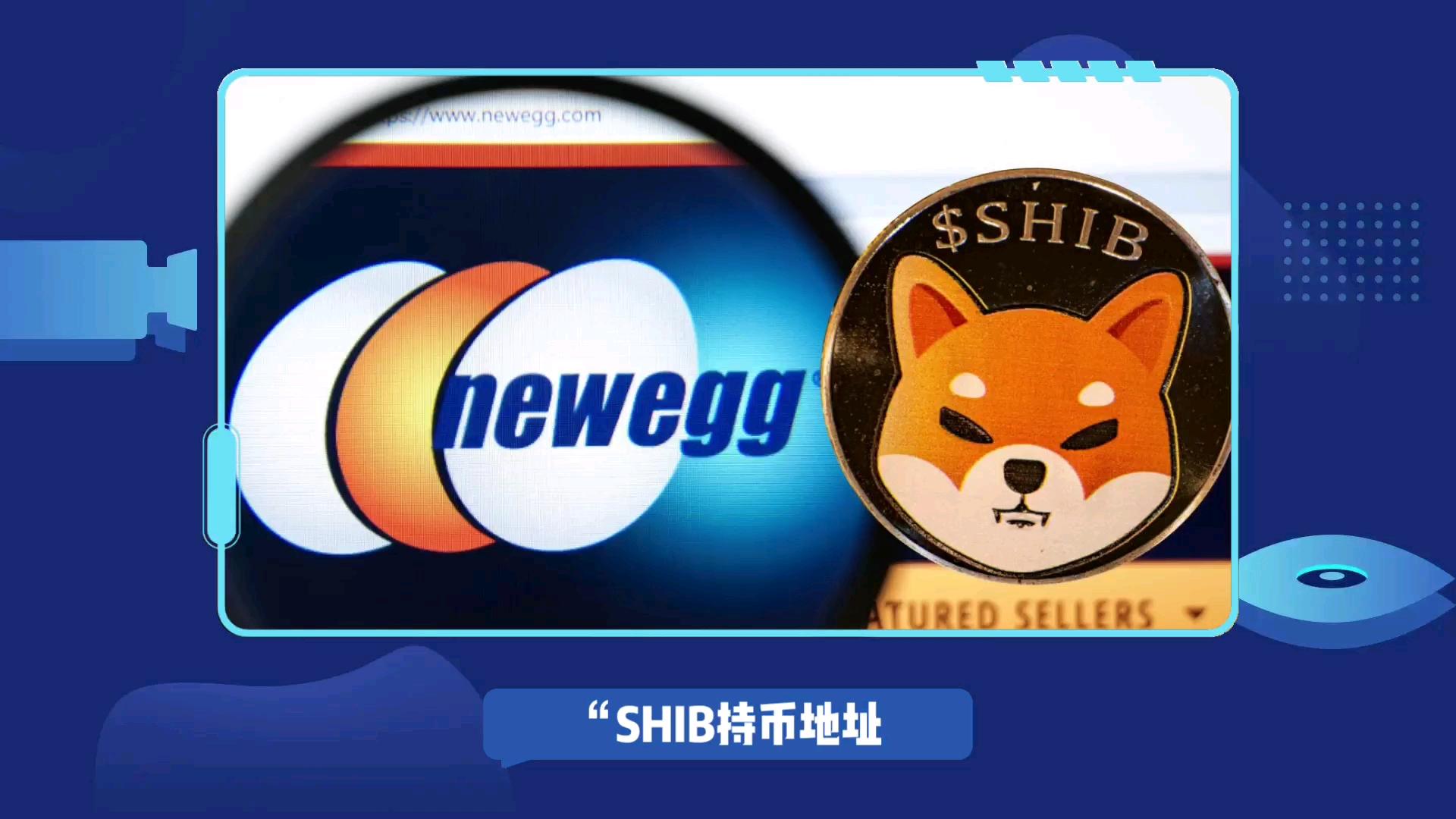 shib币还剩多少(shib币一共涨了多少倍)