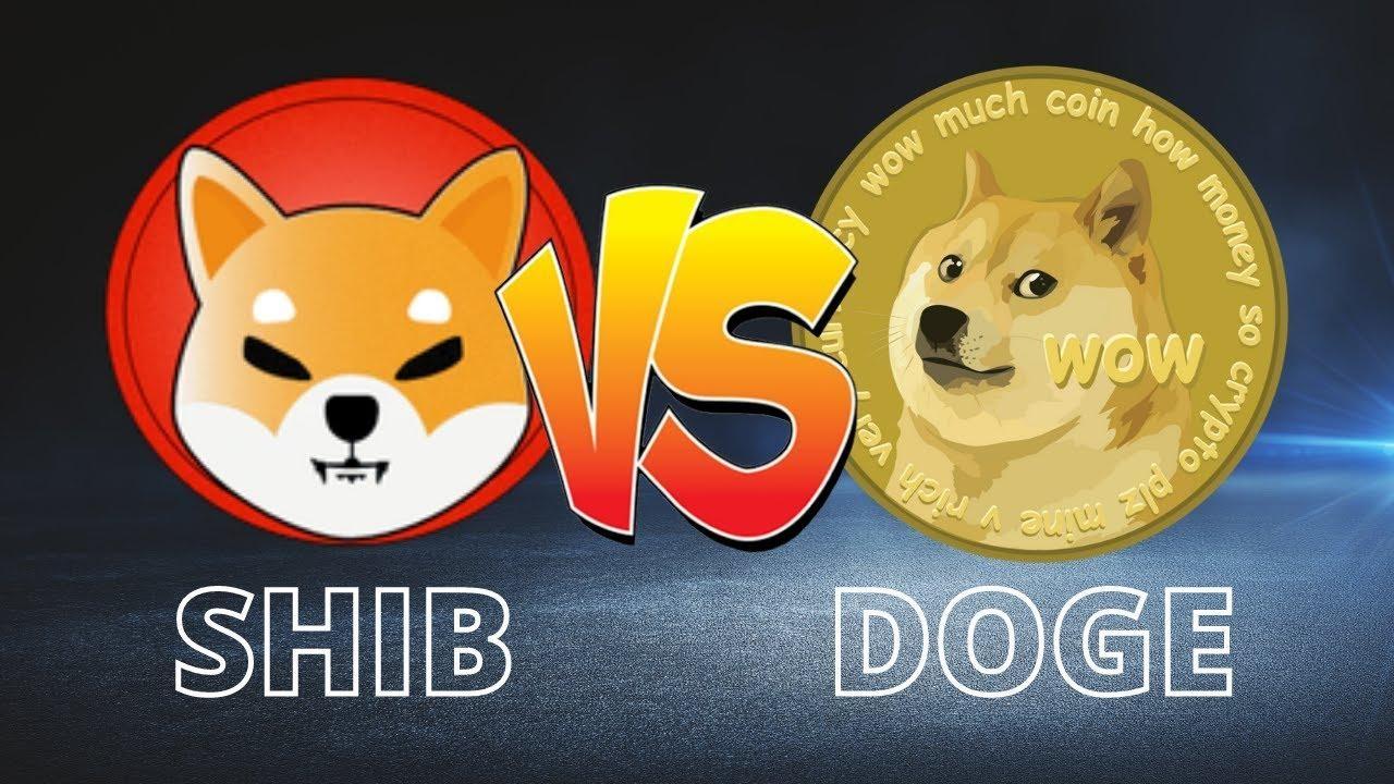 shib币现在上车迟吗(钱站逾期短信说起诉是真的吗)
