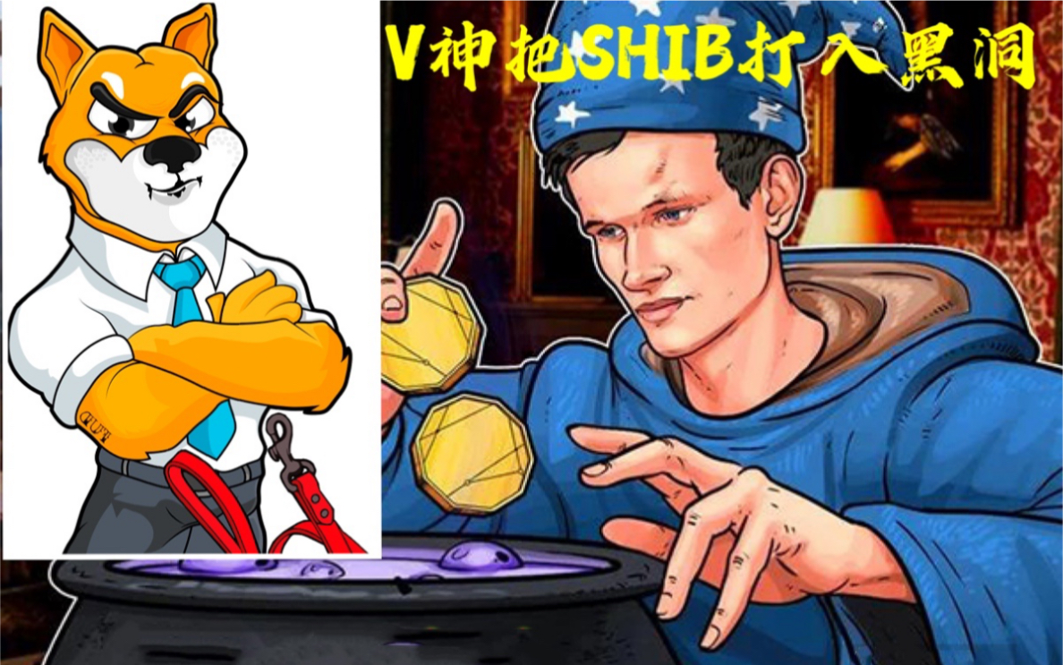shib币给v神(shib币怎么获得)