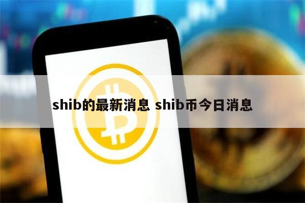 shib(士兵突击)