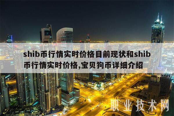 shib币最低多少钱(shib币最少买多少)