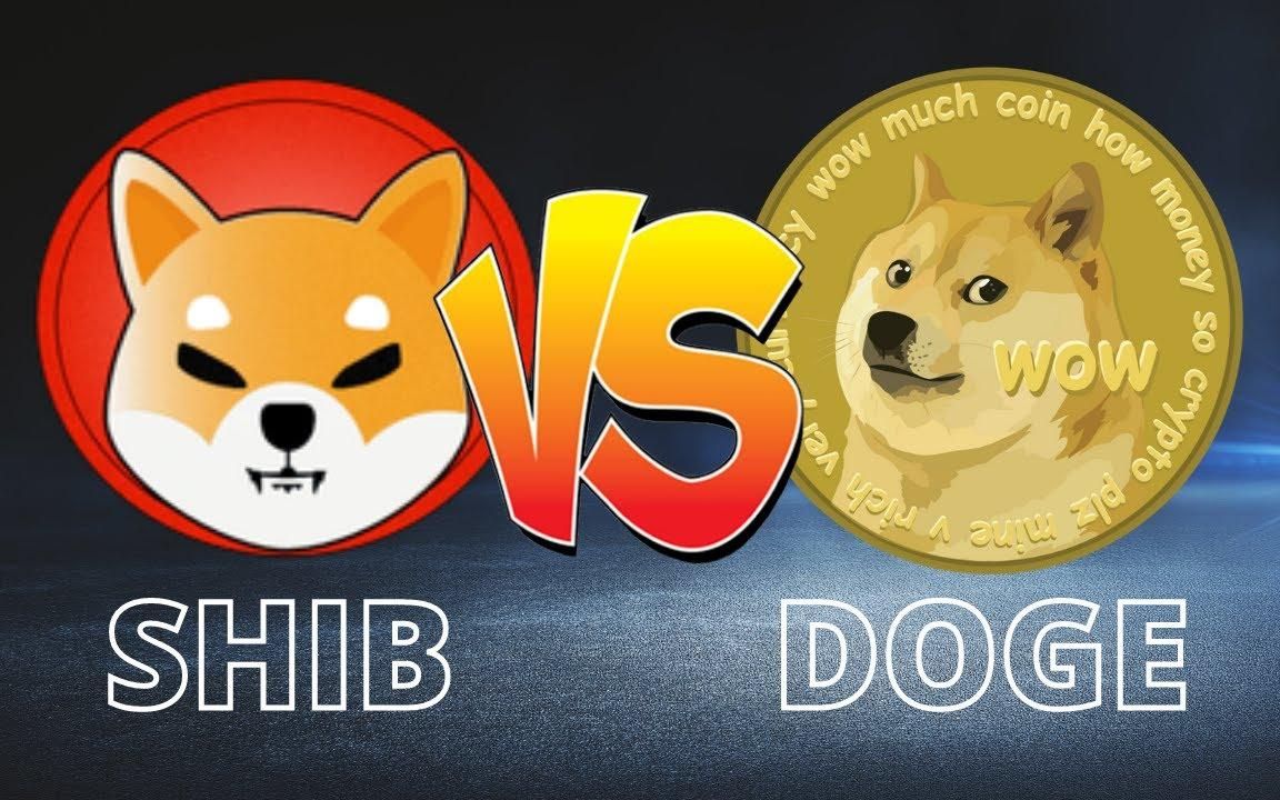shib柴犬币(shib柴犬币贴吧)