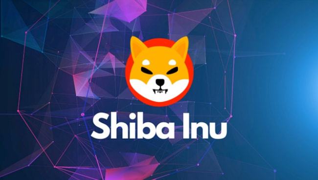 shib币微信群(shib币最新消息群)