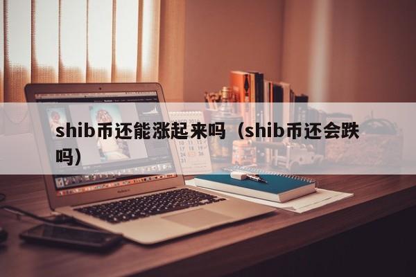 shib币首发(shib币发行多少)
