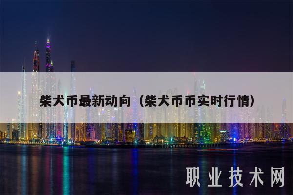 shib币获得(shib币能到多少)