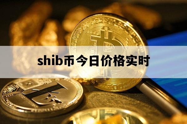 shib币首发(shib币最初发行价)