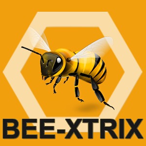 BeeX(beexpectedtodo等于什么)
