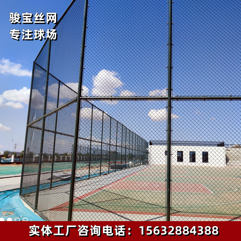 Z网(智学网)