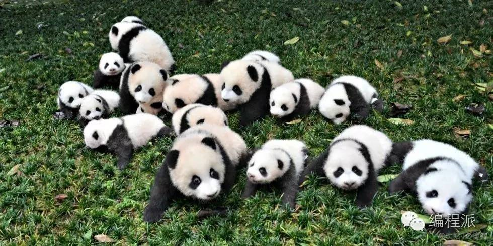 PandaFe(panda风扇怎么拆)