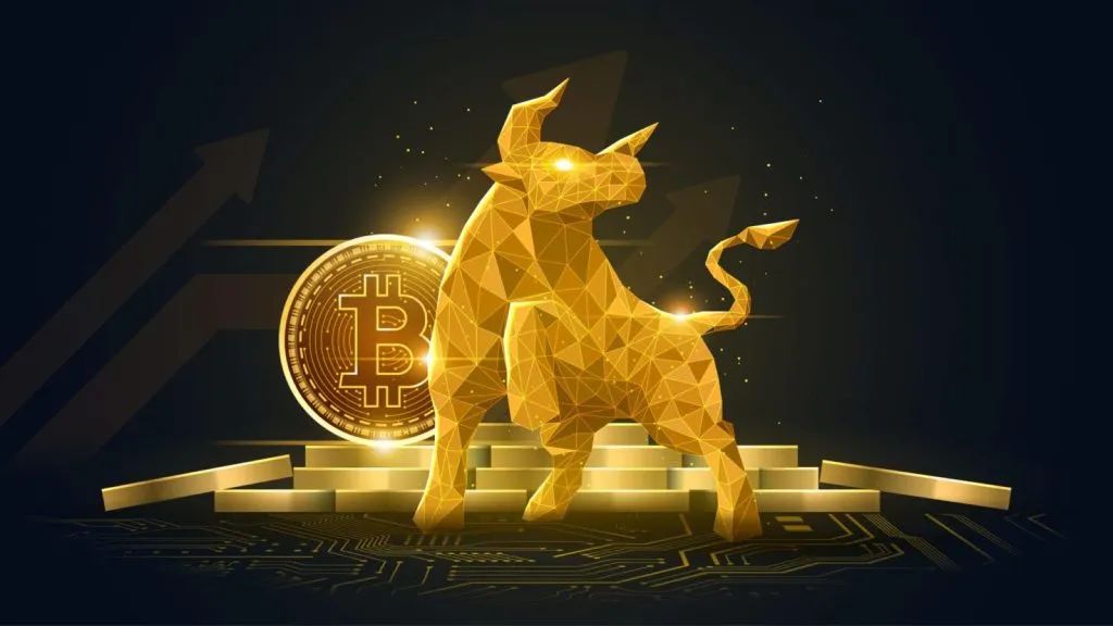 币界(币界网官网app下载)