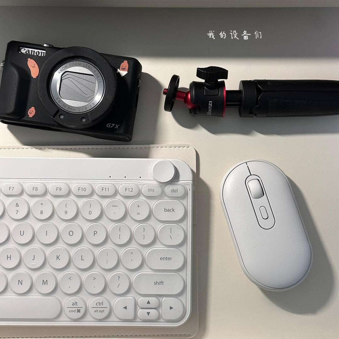 Amom(amomento品牌介绍)