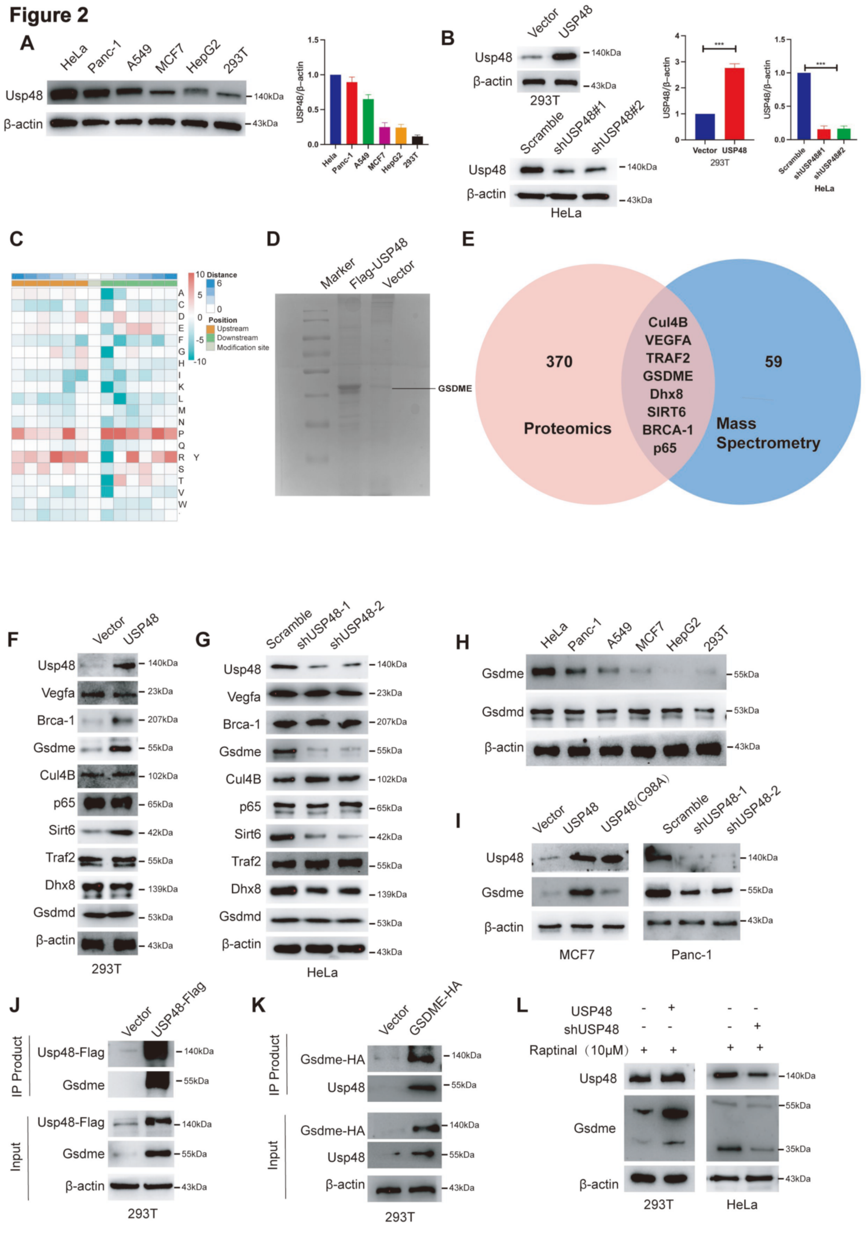 ASPMEX(卖淫女子为躲检查意外坠亡)