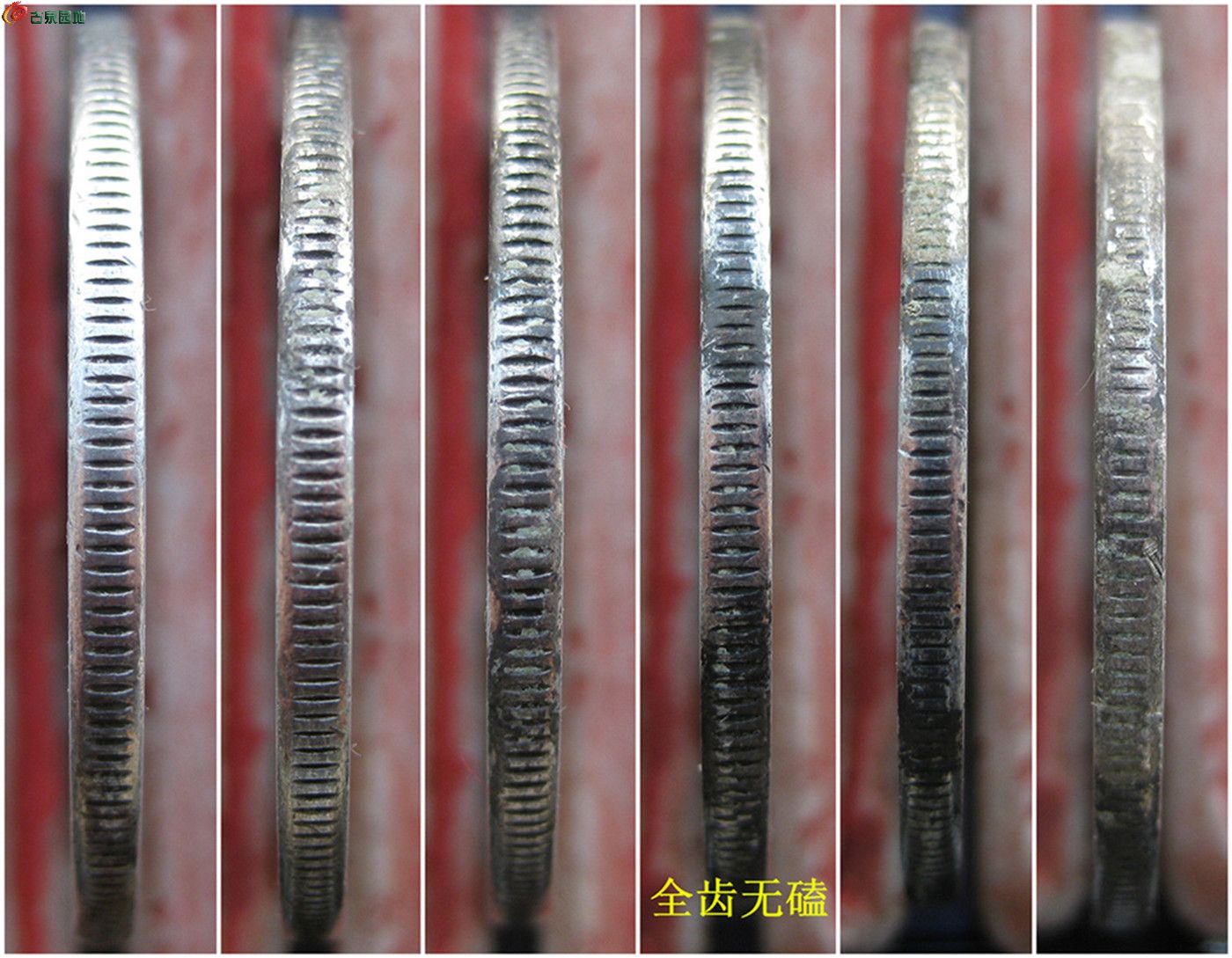 币雅(chia奇亚币官网)