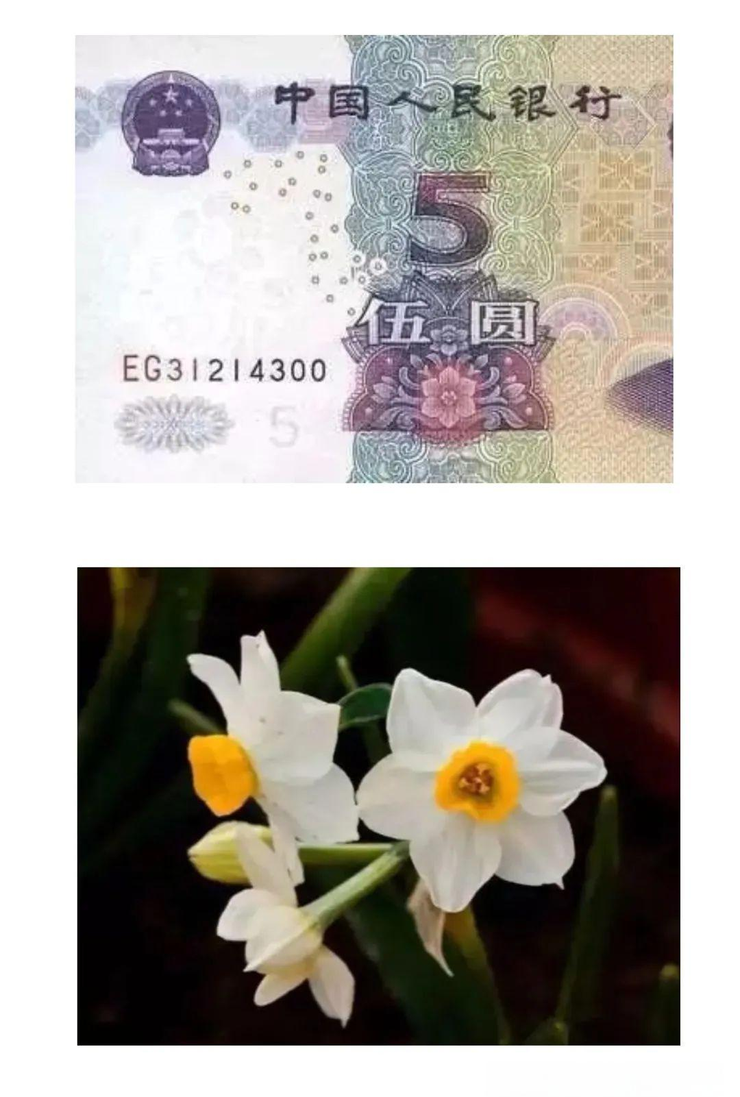 币雅(chia奇亚币官网)